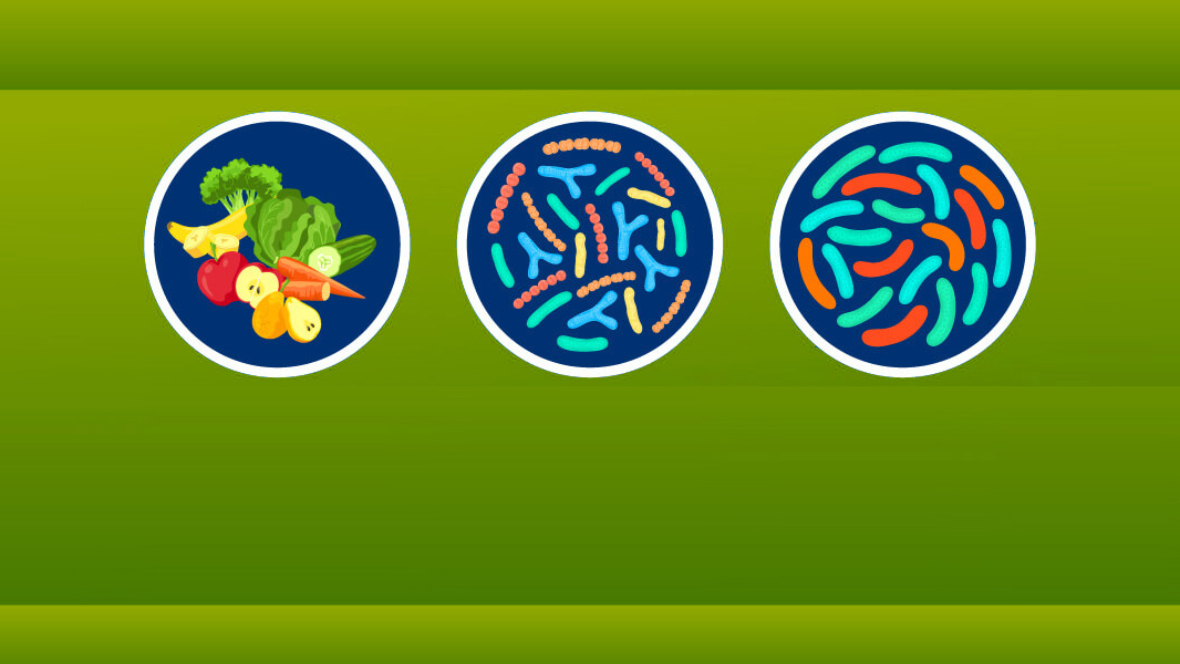 Darm Microbioom