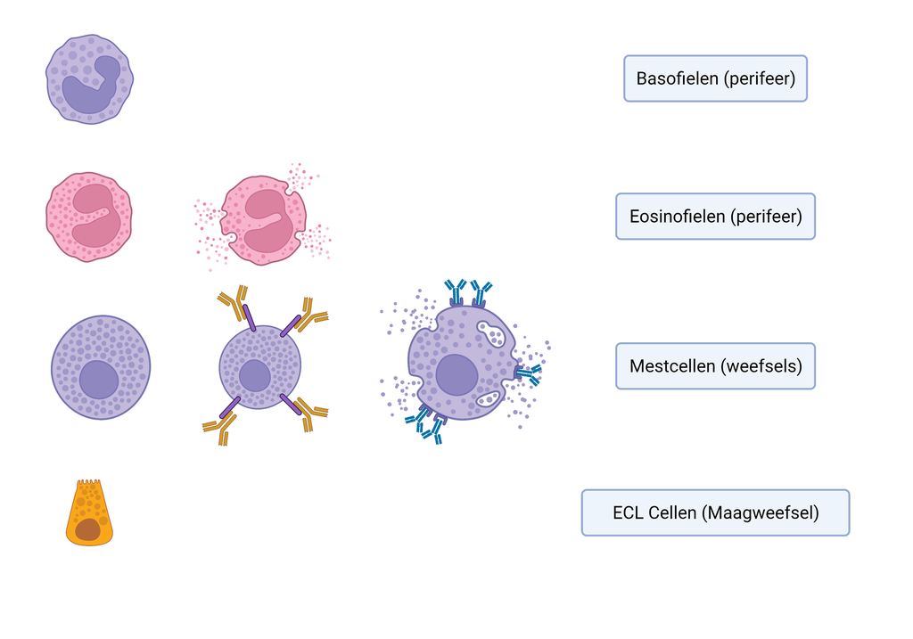Masterclass Histamine